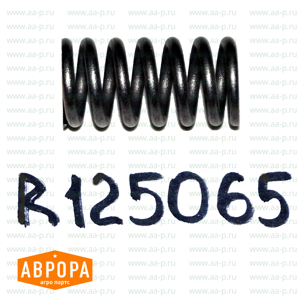 R125065 ПРУЖИНА